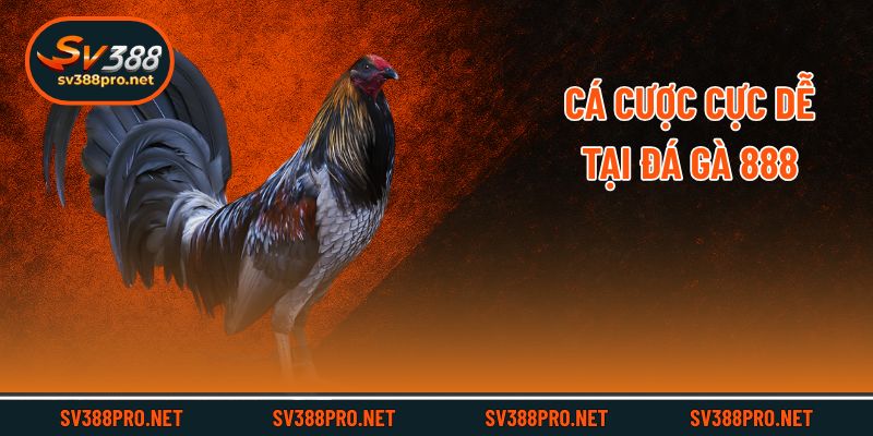 Cá cược cực dễ tại đá gà 888