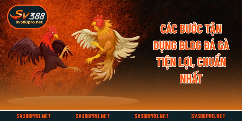 Các bước tận dụng blog đá gà tiện lợi, chuẩn nhất