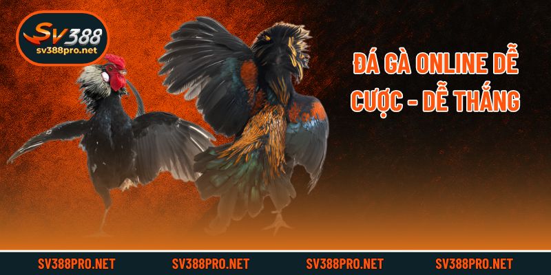 Đá gà online dễ cược - dễ thắng