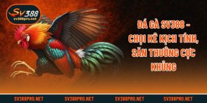 Đá Gà SV388 - Chọi Kê Kịch Tính, Săn Thưởng Cực Khủng
