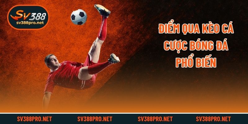 Điểm qua kèo cá cược bóng đá phổ biến