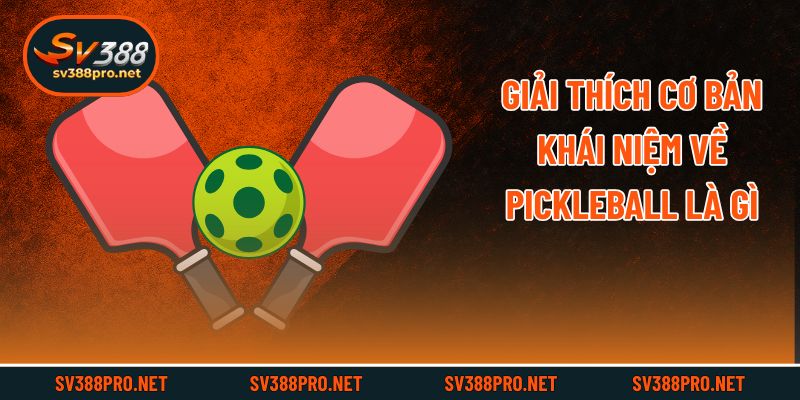 Giải thích cơ bản khái niệm về Pickleball là gì