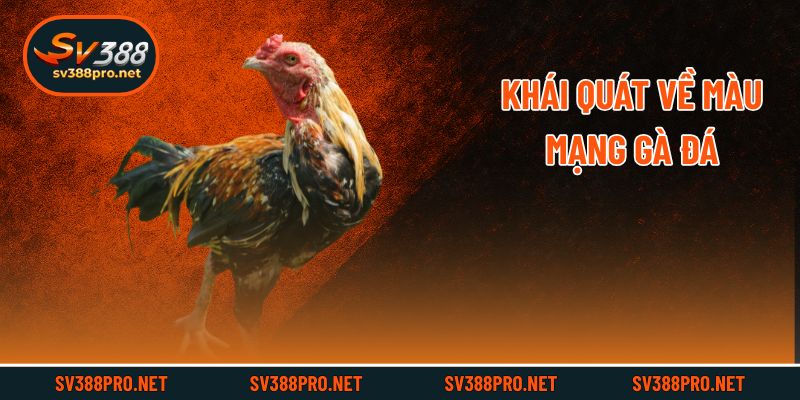 Khái quát về màu mạng gà đá