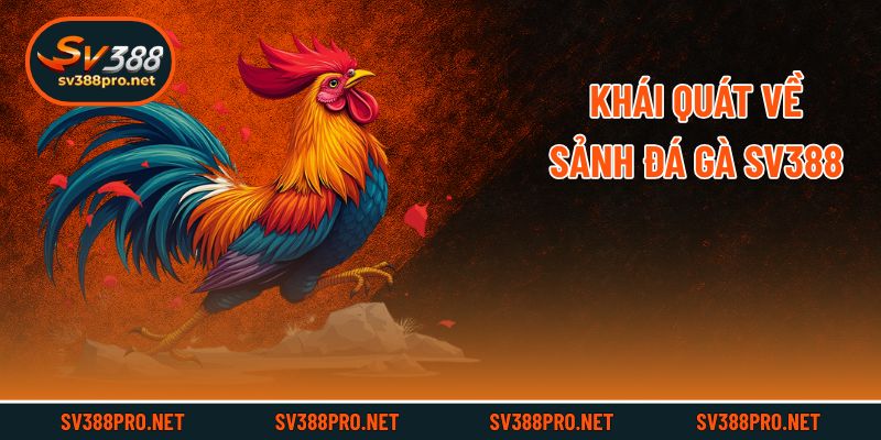 Khái quát về sảnh đá gà SV388