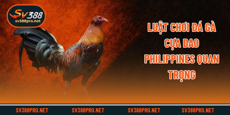 Luật chơi đá gà cựa dao philippines quan trọng