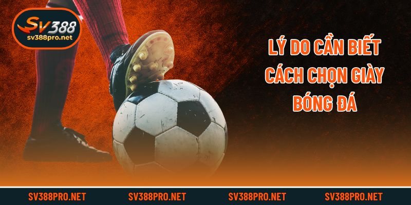 Lý do cần biết cách chọn giày bóng đá