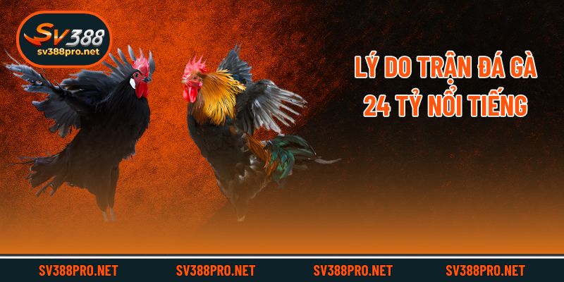 Lý do trận đá gà 24 tỷ nổi tiếng