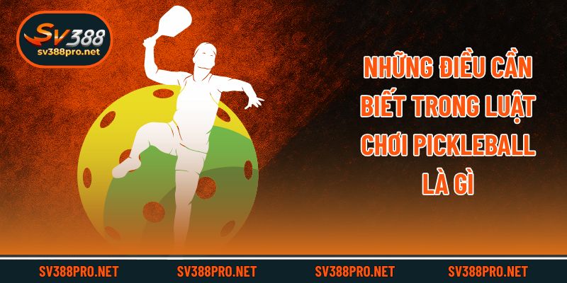 Những điều cần biết trong luật chơi Pickleball là gì