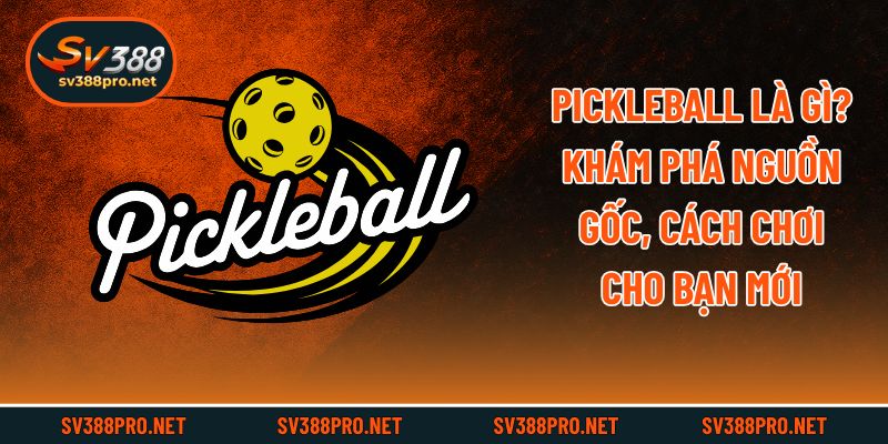 Pickleball Là Gì? Khám Phá Nguồn Gốc, Cách Chơi Cho Bạn Mới