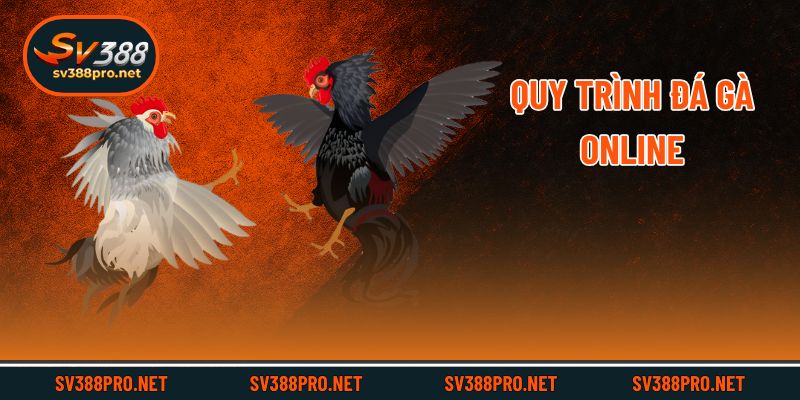 Quy trình đá gà online