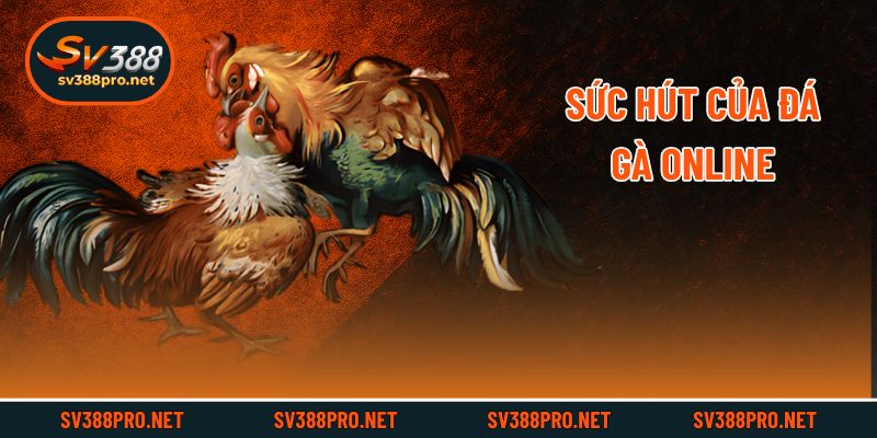 Sức hút của đá gà online