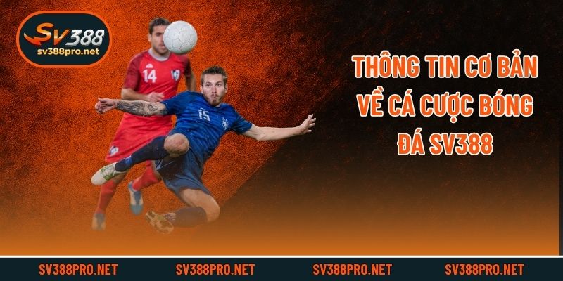 Thông tin cơ bản về cá cược bóng đá SV388