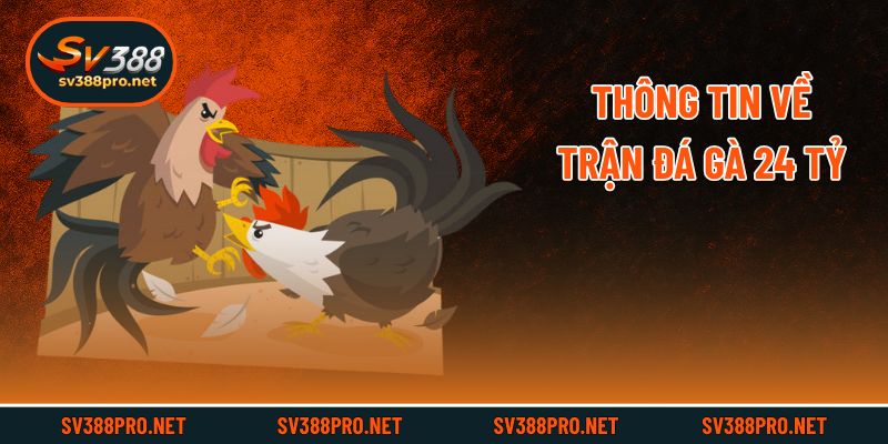 Thông tin về trận đá gà 24 tỷ