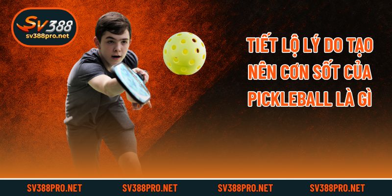 Tiết lộ lý do tạo nên cơn sốt của Pickleball là gì