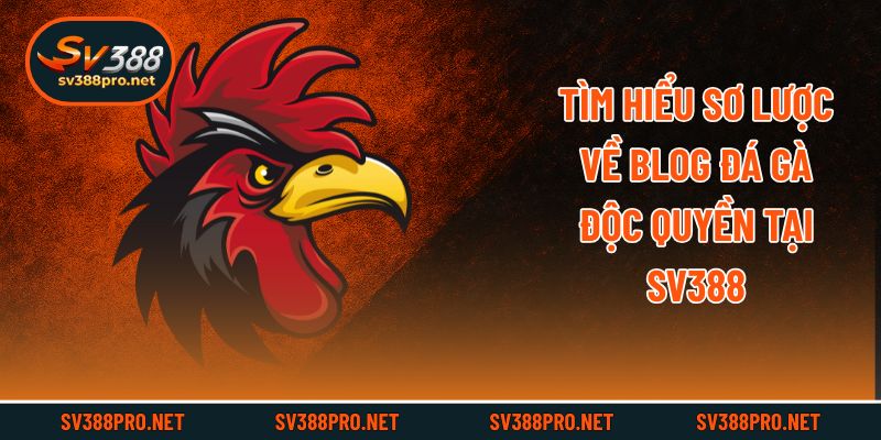 Tìm hiểu sơ lược về blog đá gà độc quyền tại SV388