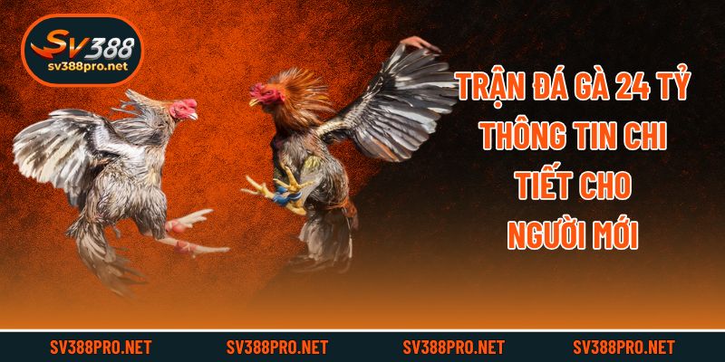 Trận Đá Gà 24 Tỷ - Thông Tin Chi Tiết Cho Người Mới